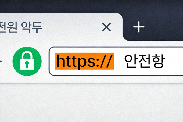 웹 브라우저 주소창에 표시된 녹색 자물쇠 아이콘과 '안전함' 텍스트, 그리고 https 프로토콜을 강조하는 화면 캡처 이미지